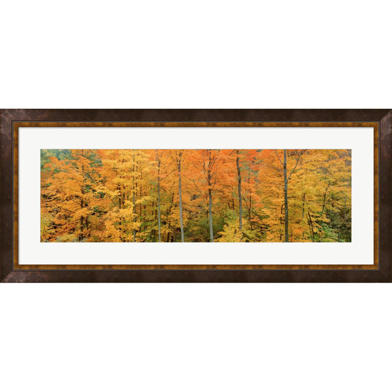 Landscape & Nature Wall Decor on Paper