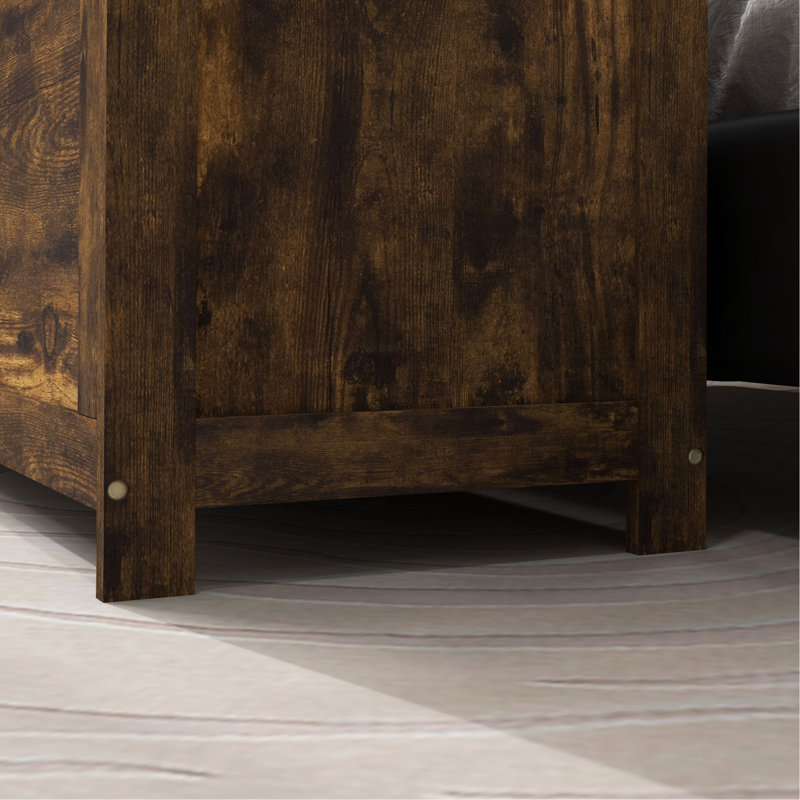 Commode Dejhanae, Brown