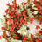 Greigh 24" Forsythia Fall Front Door Wreath