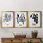 B&W d'intérieur plante IV - ensemble de 3 peintures sur toile encadrées-524709916-524709918