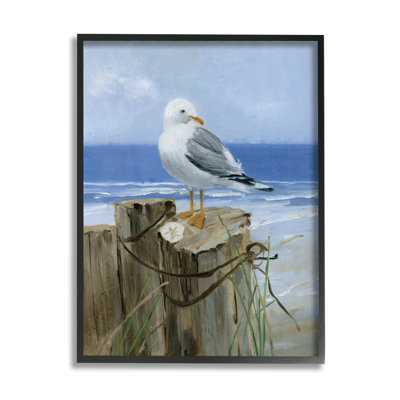 Seagull Sand Dollar On Soft Nautical Beach Post Gray Farmhouse