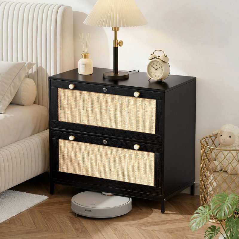 Blasko 29.5" W Engineered Wood 2-Drawer Lateral File Cabinet, Black