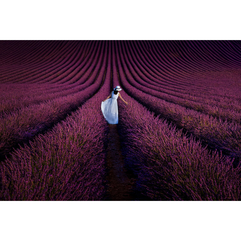 Wrapped Canvas Print, 81.28cm H x 121.92cm W