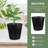 500 Packs 4 Inch Plastic Nursery Pots with Drainage Holes – 4" Diameter x 4.5" Height Seed Starting Containers for Succulents, Flowers, Vegetables, Small Plants, Indoor Outdoor Transplanting Pots-1894669105