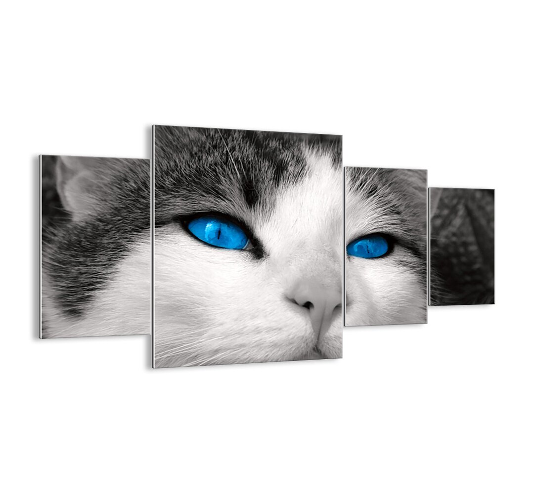 4-tlg. Glasbilder-Set - Fotografie „Unusual Blue-eyed”