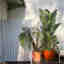 Photos des clients 1 de 1