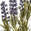 Arrangement-307701900