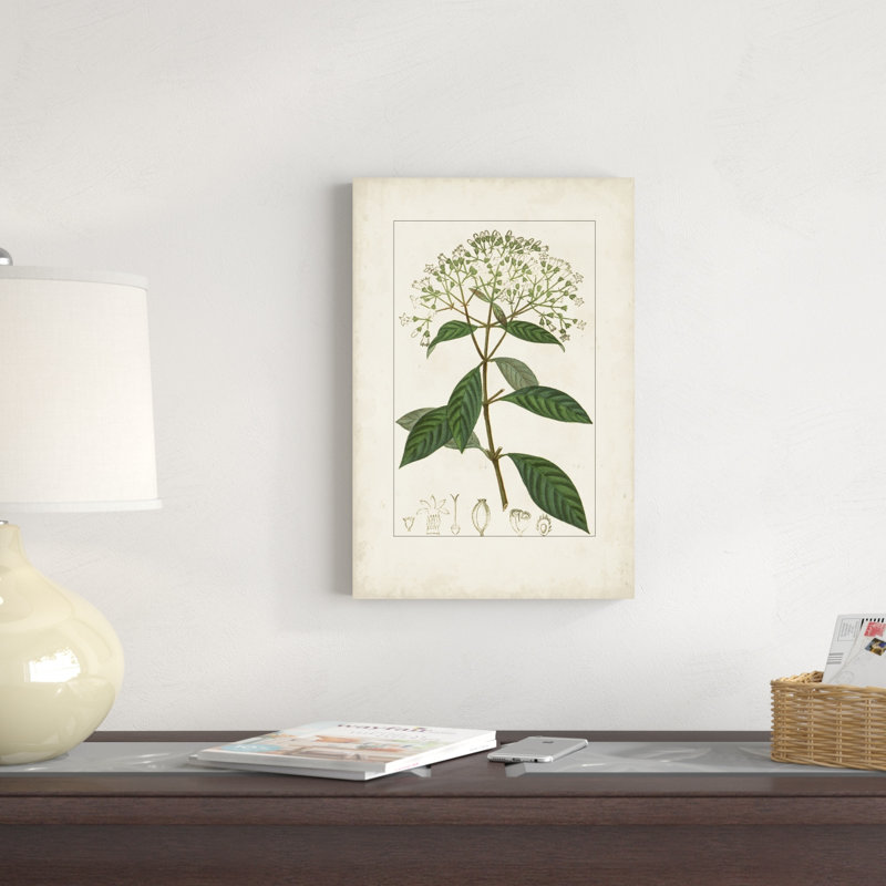 Turpin antique botanique, H 18 po x l 12 po