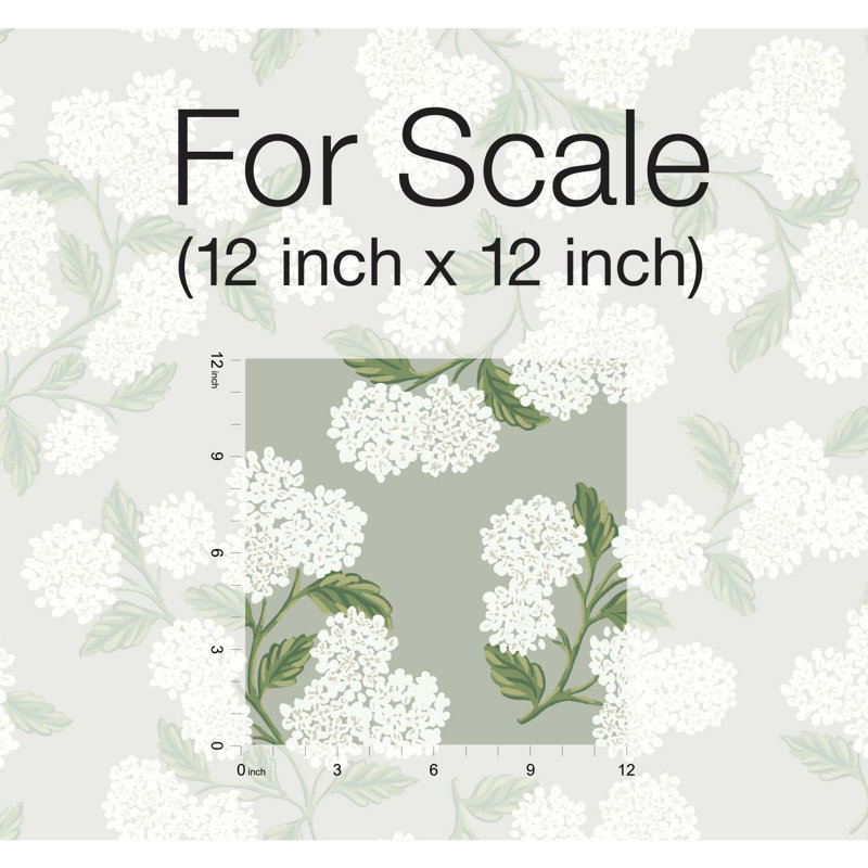 Papier peint 27 'x 27 "Hydrangea, Gris / blanc
