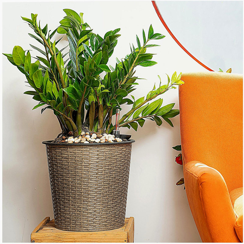 13 in.Gray Wicker Self-watering Planter, 12'' H x 13'' W x 13'' D, Gray