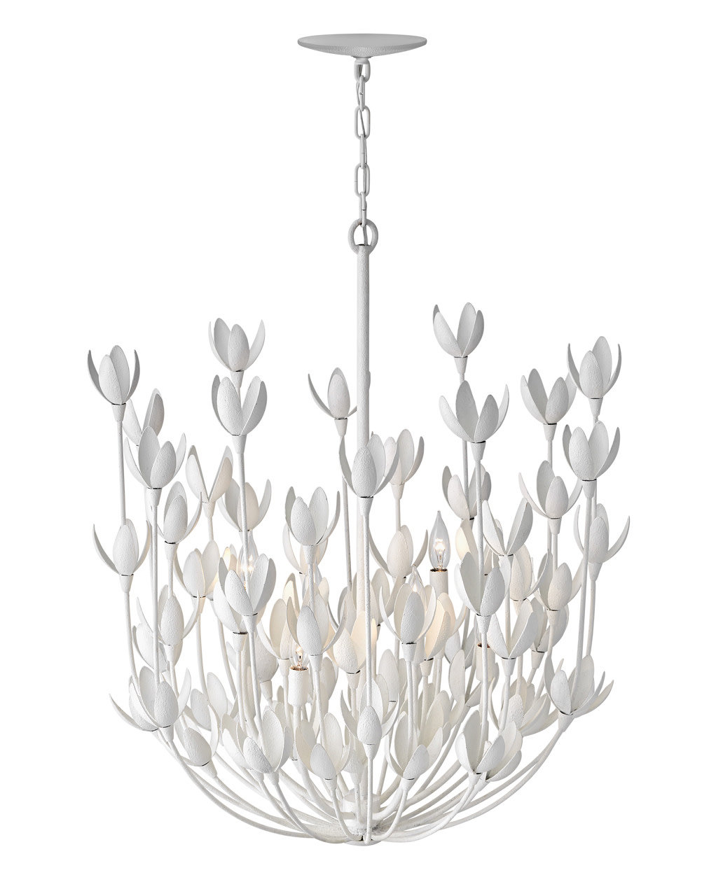 Lisa McDennon Flora 6-Light Chandelier | Wayfair