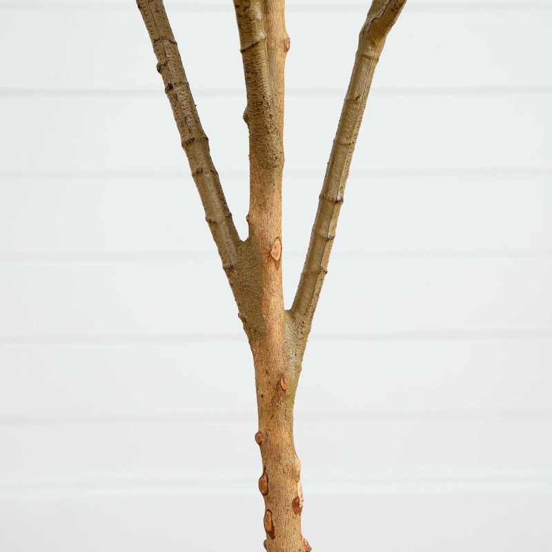 6ft Tall Faux Olive Tree with Natural Trunk in Gray Pot
