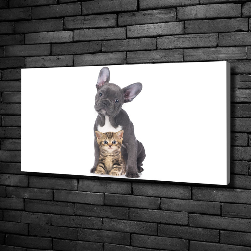 Dog And Cat - Wrapped Canvas Print