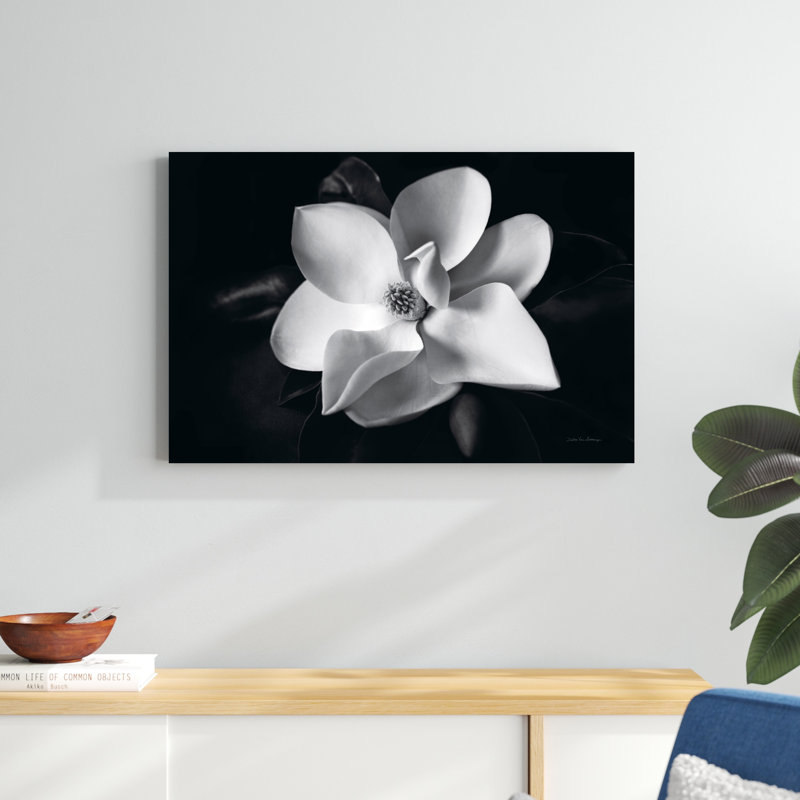 Magnolia, H 24 po x l 36 po x P 1,25 po