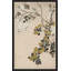 Floral Woodblock Print II Framed-44383222