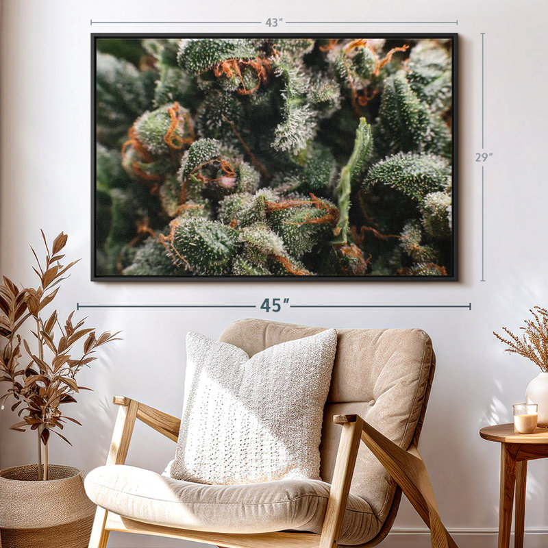 Reproduction sur toile de trichomes glandulaires, H 29 po x l 43 po