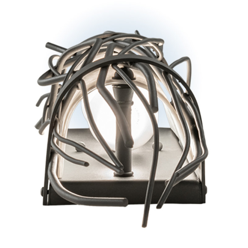 Darwing 2 - Light Flush Mounted Sconce