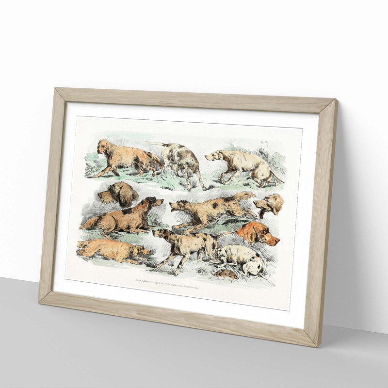 Illustration of Hounds by Henry Alken - Picture Frame Painting Print, Oak Framed, 27cm H x 36cm W x 2cm D