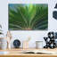 «Tropical III» par Dennis Frates-1395415184