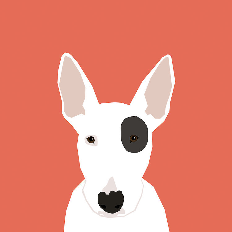 Bull terrier, impression sur toile tendue, H 37 po x l 37 po x P 1,5 po, Toile tendue, Pas de tapis