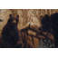 Tapis d'intérieur Alers Camouflage Bear-16344832