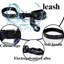 Ensemble de collier et de laisse imperméable pour chien - PVC durable et design graffiti tendance - Pour les petits / moyens / grands chiens-125821271