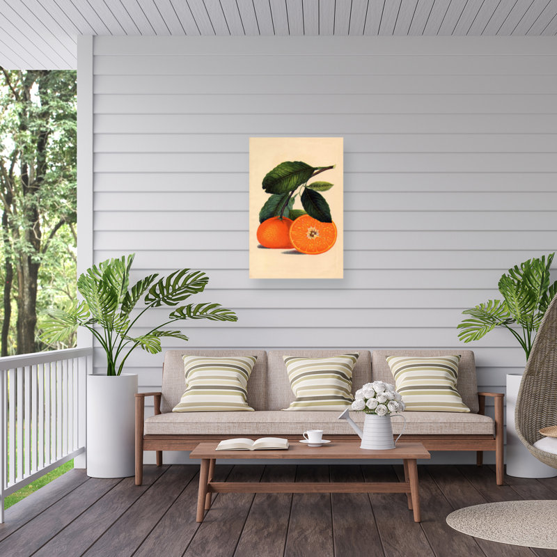 Tina Lavoie Satsuma Orange 1887 Outdoor  Canvas, 30" H x 47" W