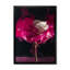 Gros plan d'une rose rétro II - art mural traditionnel sur toile-1071741133-1071741134