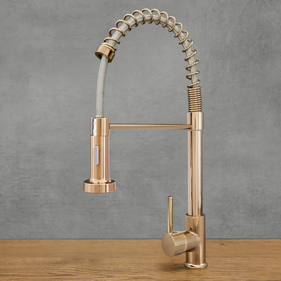 Belfry Kitchen Kitchen Faucet