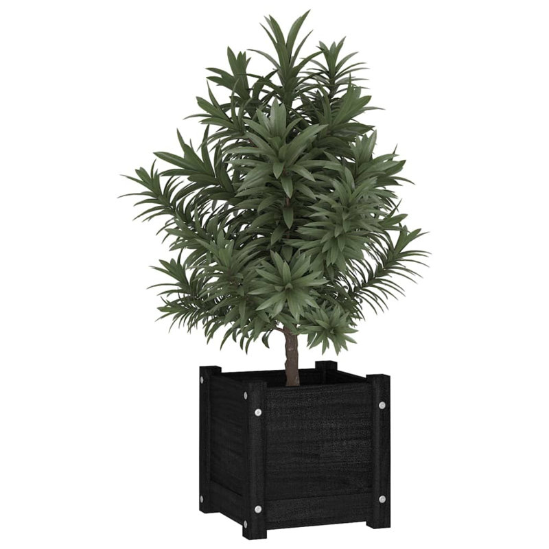 Alasiah Wood Planter Box, 31cm H x 31cm W x 31cm D, Black