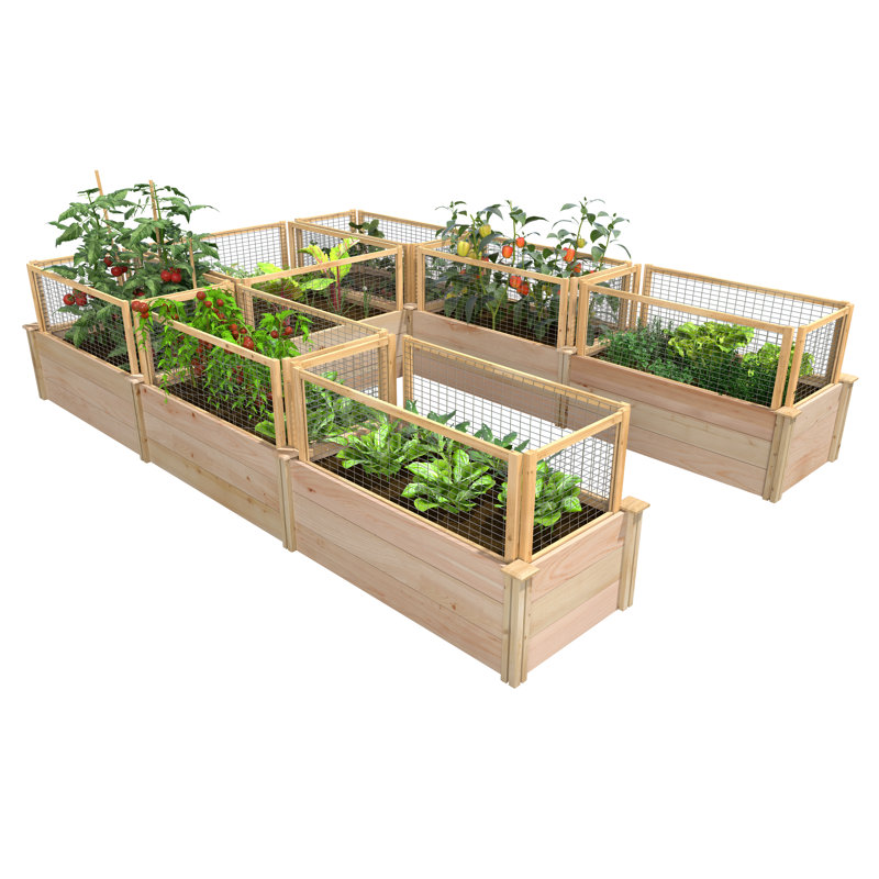 Lit de jardin surélevé en bois de qualité supérieure en cèdre 8 pi x 12 pi Premium