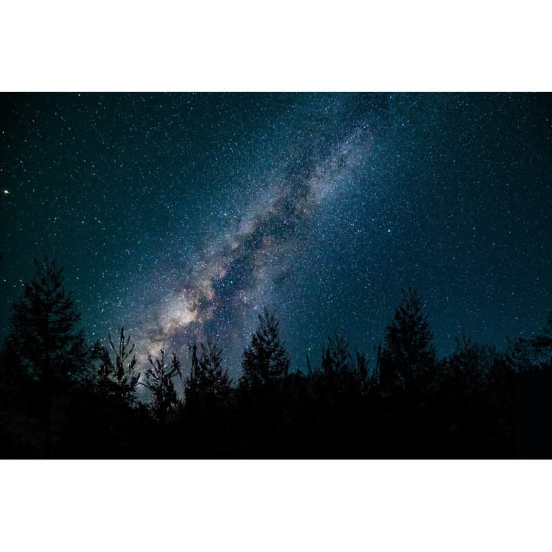 Milk Way At Night In Forest by Xijian - Wrapped Canvas Print, 81cm H x 122cm W