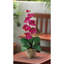 Arrangement floral orchidée en soie phalaenopsis en pot-1635827892