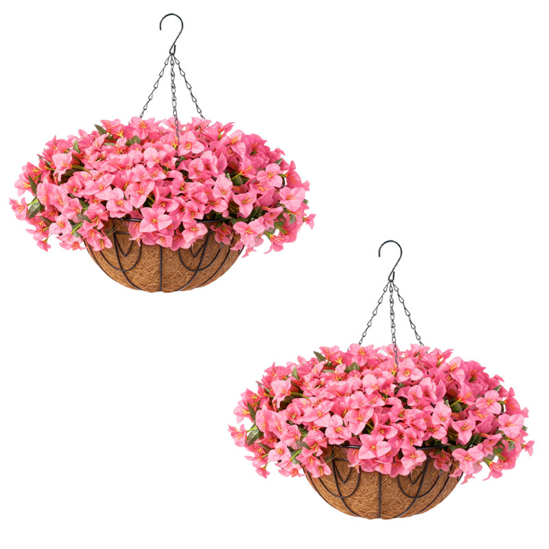 52cm Plant