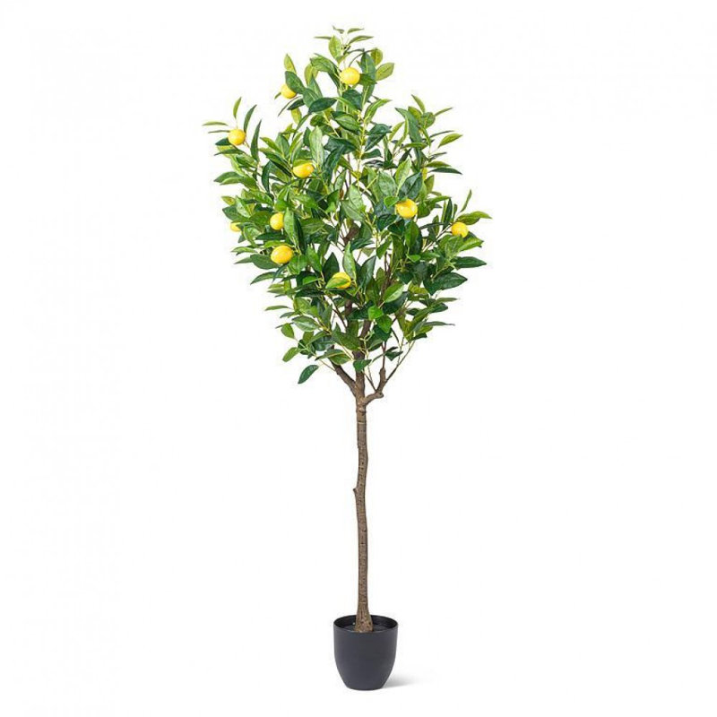Faux plantes et arbres de citronnier moyen, H 59 po x l 21 po x P 21 po