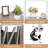 31.5'' H Media Shelves-385737336