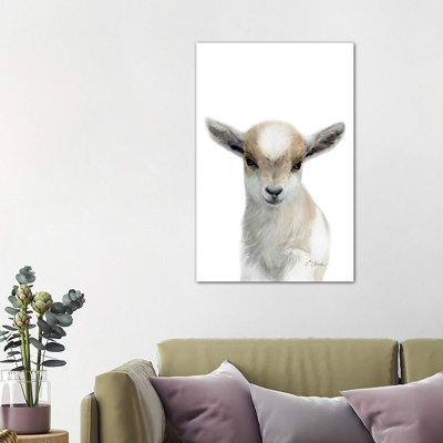 Tan & White Baby Goat - Wrapped Canvas Print