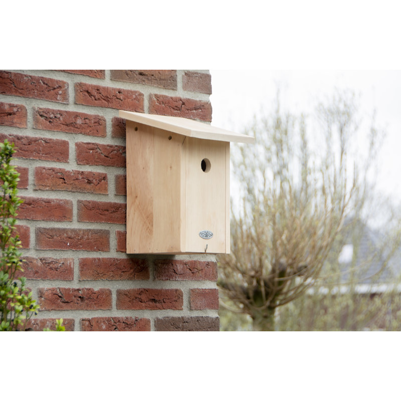 Bird House Great Tit in Giftbox Fsc 100%