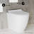 St. Tropez Back-To-Wall Toilet Bundle 0.8/1.6 GPF Dual Flush With Flush Plate-108927919