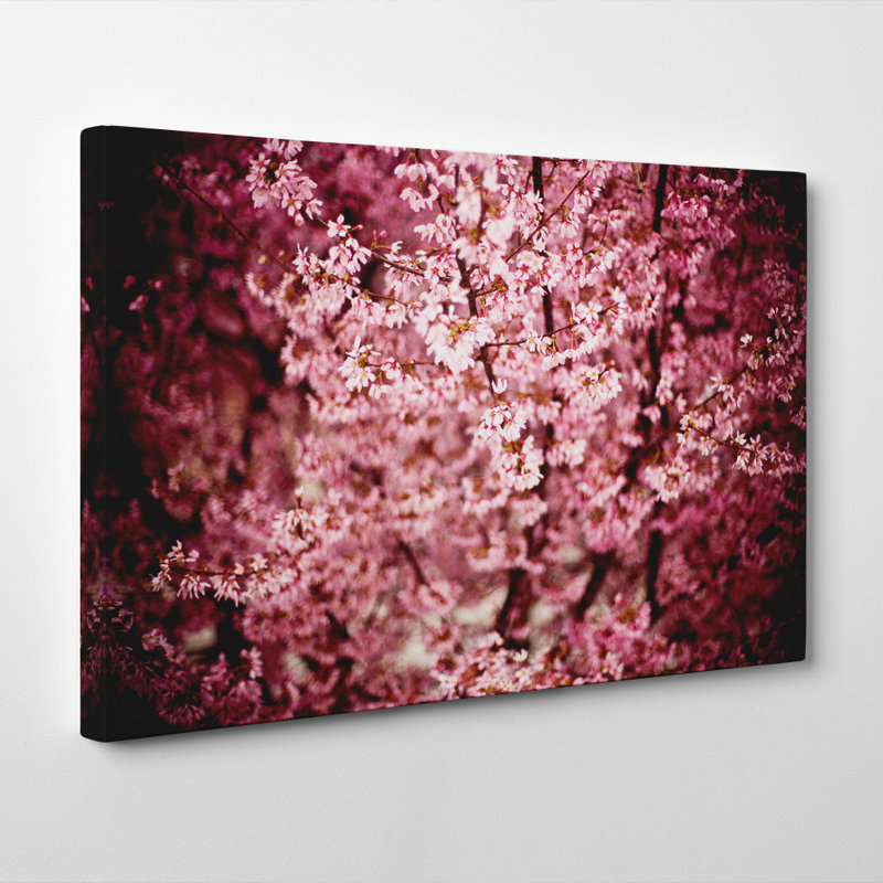 Wrapped Canvas Print, 50cm H x 76cm W