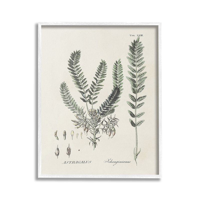 ForêtFeuilles, Giclée encadrée blanc bord de mer, H 20 po x l 16 po