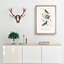 Bird Illustrations PL. 5D by Charles D' Orbigny - Single Picture Frame Painting-55457206-55457207