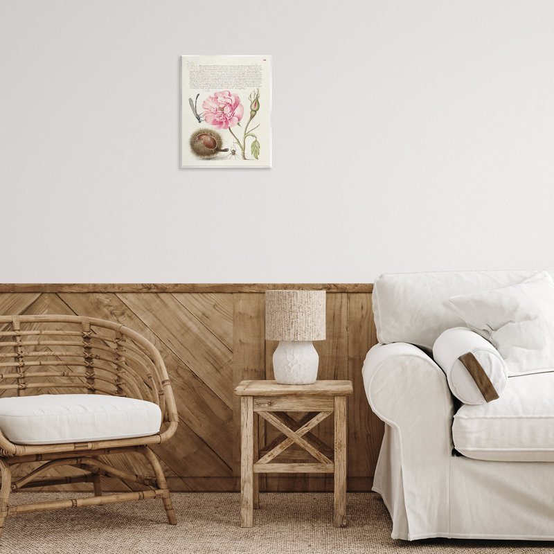 Art antique par Joris Hoefnagel