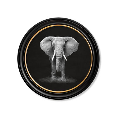 Elephant by Mid-1800s - Single Picture Frame Print on Archival Matt 230gsm Paper
