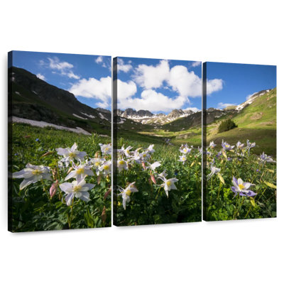 Harnek Columbine Flower Field