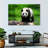Crowle Strolling Panda-111979345