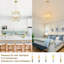 4 - Light Chandelier-1709917421