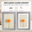 Picture Frame - Set of 2 with Mat-79323015
