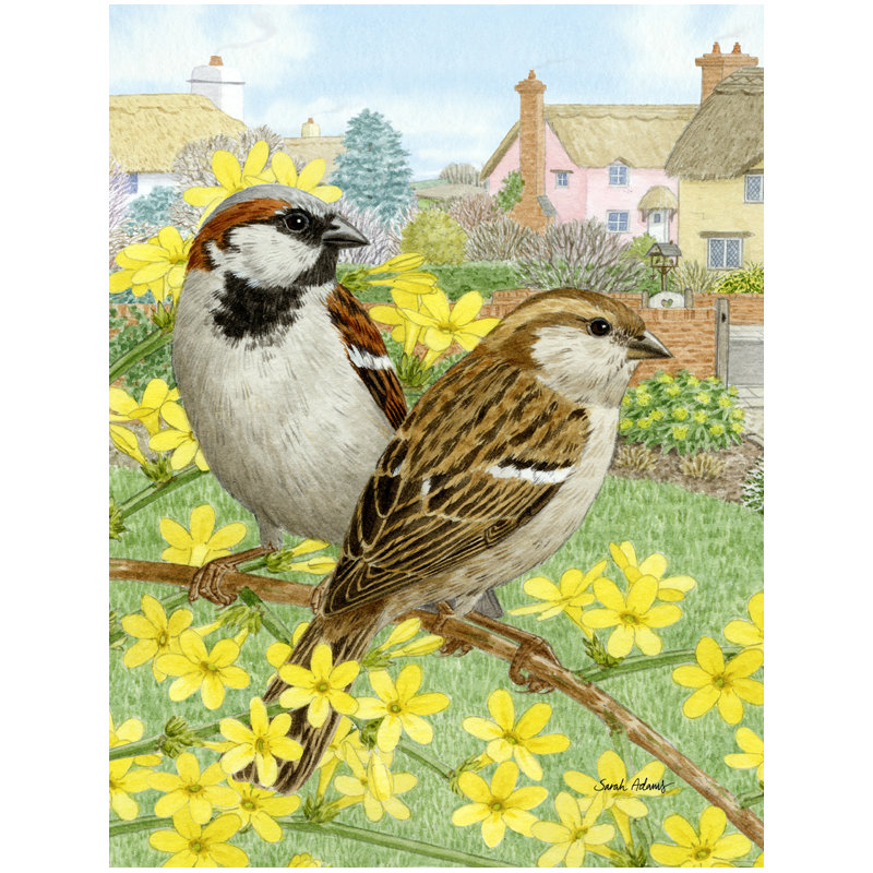 Drapeau de jardin Faulkwoods House Sparrows