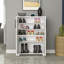 Baneen 8 Pair Shoe Storage Cabinet